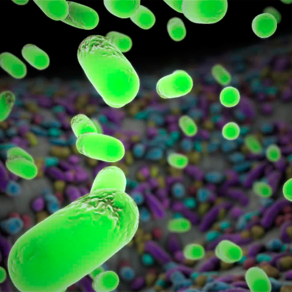 Cientistas mapeiam os micróbios da boca