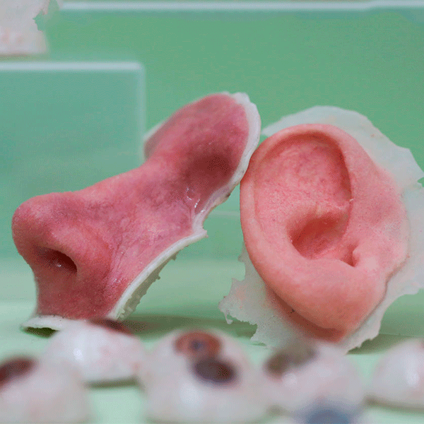 Cientistas provam a viabilidade de tecidos “impressos” em impressoras 3D