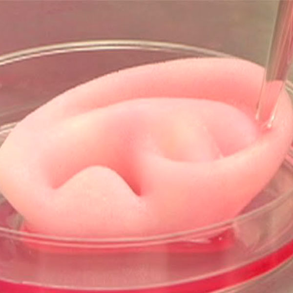 Congresso internacional discute potencial da impressão 3D na medicina